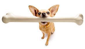 Italian Press: self portrait