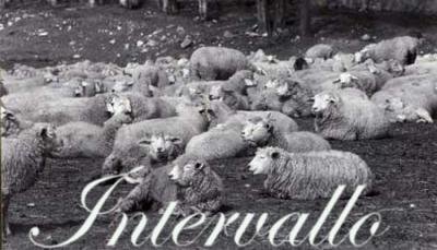 Colonna sonora: "Plin, plinplinplin, plin plin plin, plinplinplpin..."